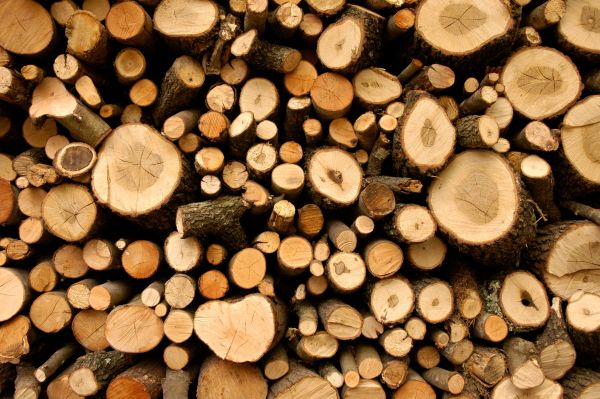 Bois de chauffage tarn : des bûches prêtes à vous réchauffer