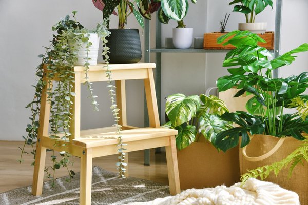 Comment acheter des fausses plantes tombantes pour le jardin : voici les bons conseils